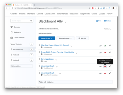 Ally 1.33 - D2L BrightSpace - 3.png