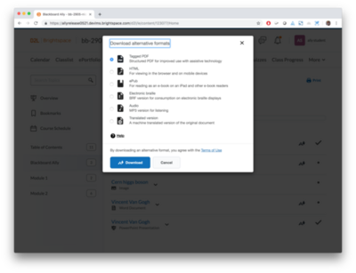 Ally 1.33 - D2L BrightSpace - 2.png