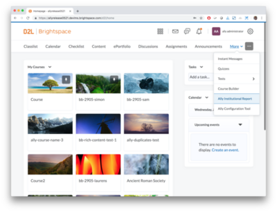 Ally 1.33 - D2L BrightSpace - 5.png