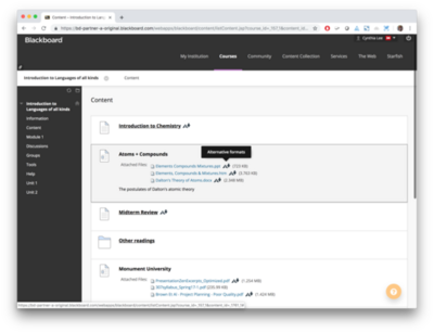 Ally 1.33 - Prominent Alternative Formats - Blackboard Learn.png