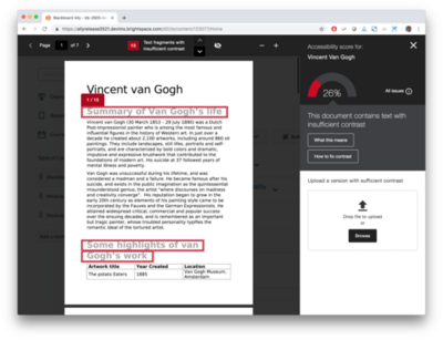 Ally 1.33 - D2L BrightSpace - 4.png