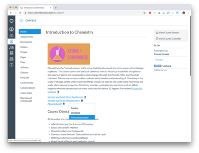 Ally 1.33 - Prominent Alternative Formats - Instructure Canvas.png