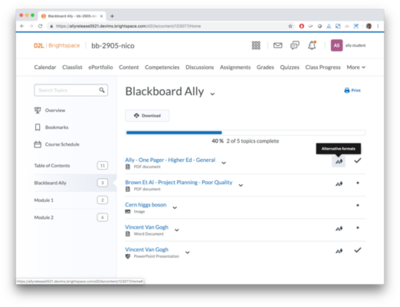 Ally 1.33 - D2L BrightSpace - 1.png